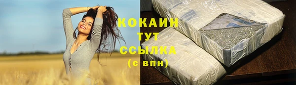spice Краснослободск