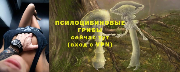 сатива Красноперекопск